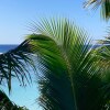 Отель Rarotonga Villas, фото 7