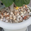 Отель Astrinos Apt Simple, Cosy, Comfortable, Near the Beach, фото 23
