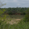 Отель Kruger View Cottage, фото 9