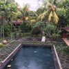 Отель Puri Dalem Cottage Ubud, фото 11