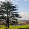 Отель Hilton Puckrup Hall Hotel & Golf Club, Tewkesbury, фото 23
