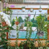 Отель Homestay 499, фото 8