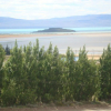Отель Altos del Lago Departamentos, фото 14