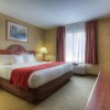 Отель Comfort Inn & Suites, фото 39