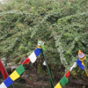 Отель Kathmandu Mantra Home, фото 13