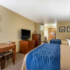 Отель Comfort Inn & Suites Springfield I-44, фото 3