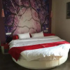 Отель Thank Inn Chain Hotel Anhui Anqing Taihu Longshan Road, фото 4