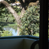 Отель Sea Grace Cottage, фото 6