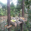 Отель Chácara Recanto dos recantos, фото 8