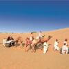 Отель Welcomhotel by ITC Hotels, Fort & Dunes Khimsar, фото 17