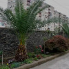 Отель Green Guest House, фото 1