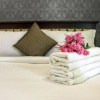 Отель Hardys Villa Resort, фото 2