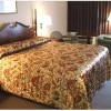Отель Red Carpet Inn And Suites Scranton, фото 5