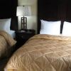 Отель Candlewood Suites Houston NE - Stafford, an IHG Hotel, фото 8