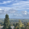 Отель Studio/lickey Hills/near Attractions/garden/petok, фото 9