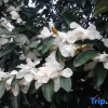 Отель Hengyang Nanyue Hengshan Qingshan Yunju, фото 3