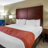 Отель Comfort Inn & Suites Marion I-57, фото 42