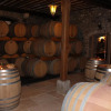 Отель Domaine Viticole, фото 8