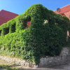 Отель Landgasthof Herrendeich, фото 1