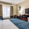 Отель Comfort Inn & Suites - Hannibal, фото 15