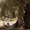 Отель Dounias Village Home, фото 17