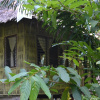 Отель Sai-Ngam Botanic Garden Resort, фото 1
