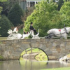 Отель Chetola Resort at Blowing Rock, фото 33