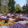 Отель Maxplatz, фото 46