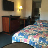 Отель Shelaine Inn, фото 2