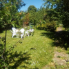 Отель Auberge Pontoise, фото 1