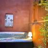 Отель La Maison du Trident en Camargue Piscine et Jacuzzi, фото 14