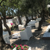 Отель Villa Paestum, фото 18