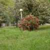 Отель Agriturismo Le Giare, фото 10