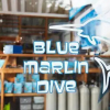 Отель Blue Marlin Air, фото 24