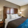 Отель Comfort Inn & Suites St. Louis - Hazelwood, фото 4