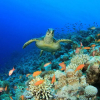 Отель Nyaman Catamaran, фото 24