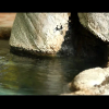 Отель Izu-Atagawaso, фото 7