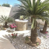 Отель La Cycas, фото 15