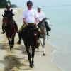 Отель Terengganu Equestrian Resort, фото 23