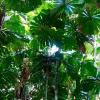 Отель Coconut Beach House, фото 7
