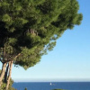 Отель Chambres d'hôtes VUE MER Mer à 2 min à pied, фото 5