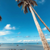 Отель Koh Tao Tropicana Resort, фото 13