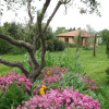 Отель Agriturismo Poderino, фото 2