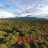 Отель Amboseli Eco Camp, фото 42