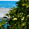 Отель Villa Dorra Coast Suites, фото 10