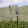 Отель Garni Alpina, фото 31