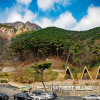 Отель Damyang Lisaforest Village, фото 18