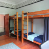 Отель The White Elephant Accommodation - Hostel, фото 3