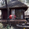 Отель Thabankwe Bushveld Inn, фото 18