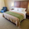 Отель Comfort Inn Hammond, фото 3